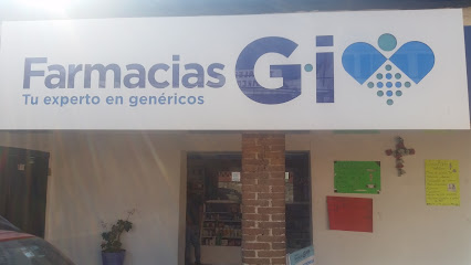 Farmacias Gi - Jilotzingo Avenida Principal, S/N, Centro, 54570 Santa Ana Jilotzingo, Méx. Mexico