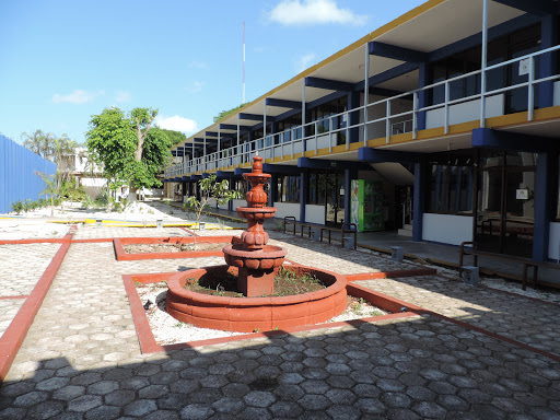 Centro Institucional de Lenguas (CIL) - UADY