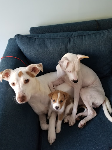 189 Waverly Rd, Pawleys Island, SC 29585, USA