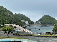 太地町立くじらの博物館
