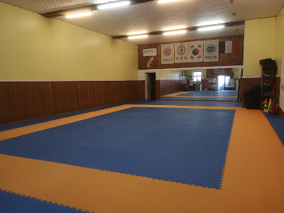 Main Ho club - Taekwewondo (Maître Lee Wonsik) à Béziers