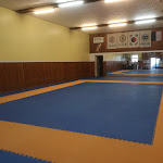 Photo n° 1 de l'avis de PHILLIP.A fait le 25/07/2019 à 19:20 pour Main Ho club - Taekwewondo (Maître Lee Wonsik) à Béziers