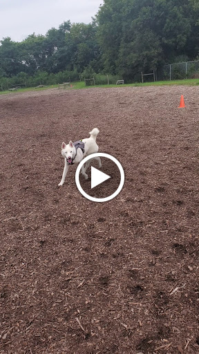 Dog Park «Stillwater MN Dog Park», reviews and photos, 148 Myrtlewood Ct, Stillwater, MN 55082, USA