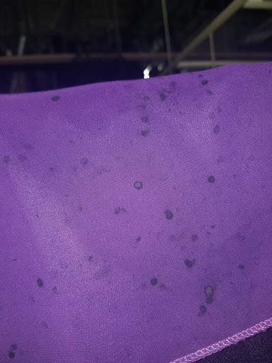 Dry Cleaner «CD One Price Cleaners», reviews and photos, 350 E 162nd St, South Holland, IL 60473, USA