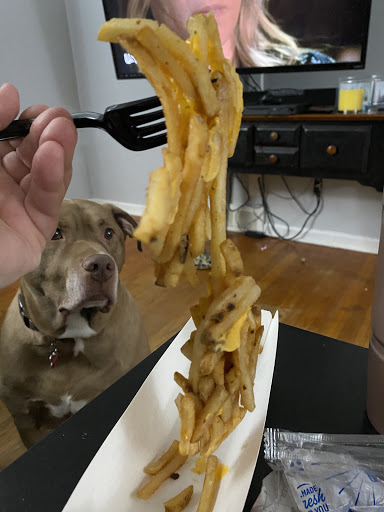 Fast Food Restaurant «Sonic Drive-In», reviews and photos, 29622 W Seven Mile Rd, Livonia, MI 48152, USA