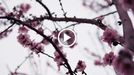 Real Estate Agency «Harry Patel, Realtor with Keller Williams Atlanta Partners», reviews and photos, 5162 Miller Rd SW, Lilburn, GA 30047, USA