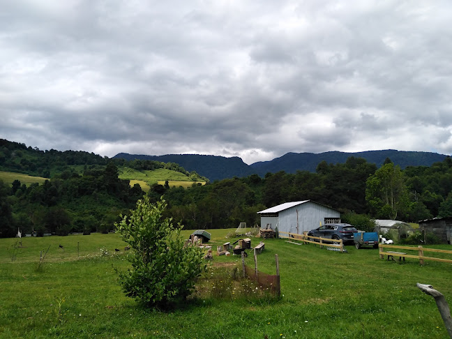 Camping Donde Matias - Puyehue