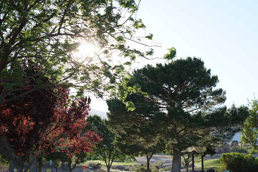 Park «Angel Park», reviews and photos, Angel Park Trail, Las Vegas, NV 89145, USA