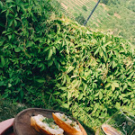 Photo n°1 de l'avis de Silvia.a fait le 08/07/2023 à 16:23 sur le  Weingarten Cochem à Cochem