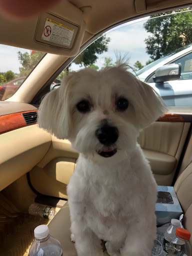 Pet Supply Store «PetSmart», reviews and photos, 132 NJ-31, Flemington, NJ 08822, USA