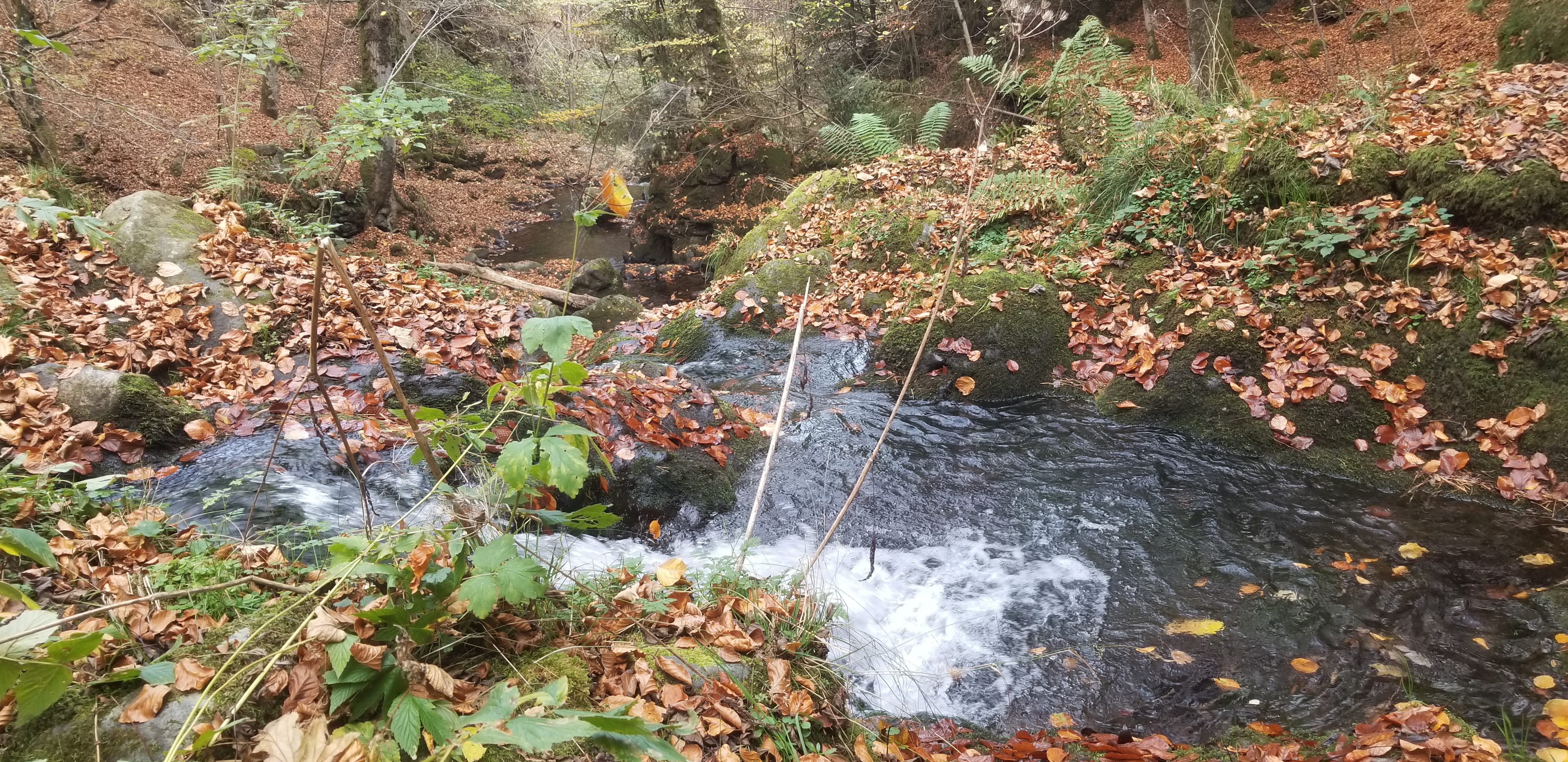 Photo n° 25 de l'avis de Céline.O fait le 31/10/2022 à 19:54