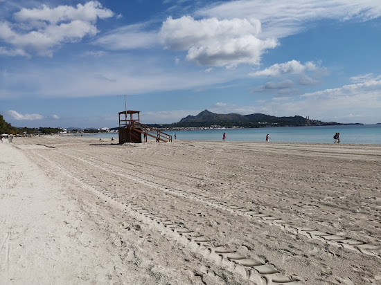 Alcudia Plajı