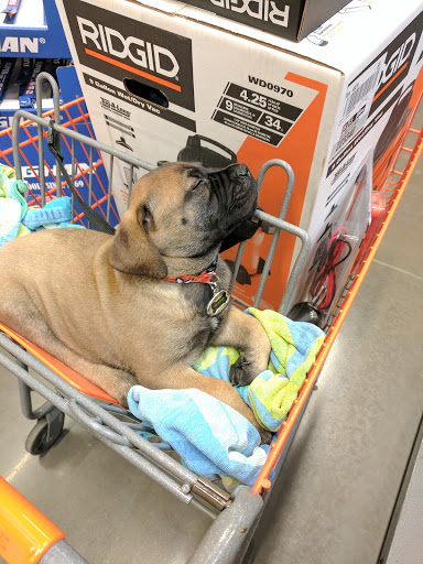 Home Improvement Store «The Home Depot», reviews and photos, 1780 NE Four Acre Pl, Corvallis, OR 97330, USA