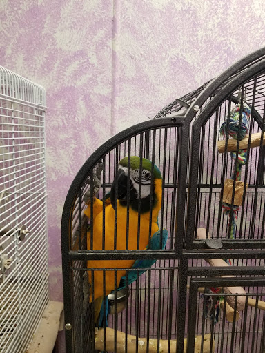 Pet Store «Animal Atlanta», reviews and photos, 6449 Bells Ferry Rd, Woodstock, GA 30189, USA