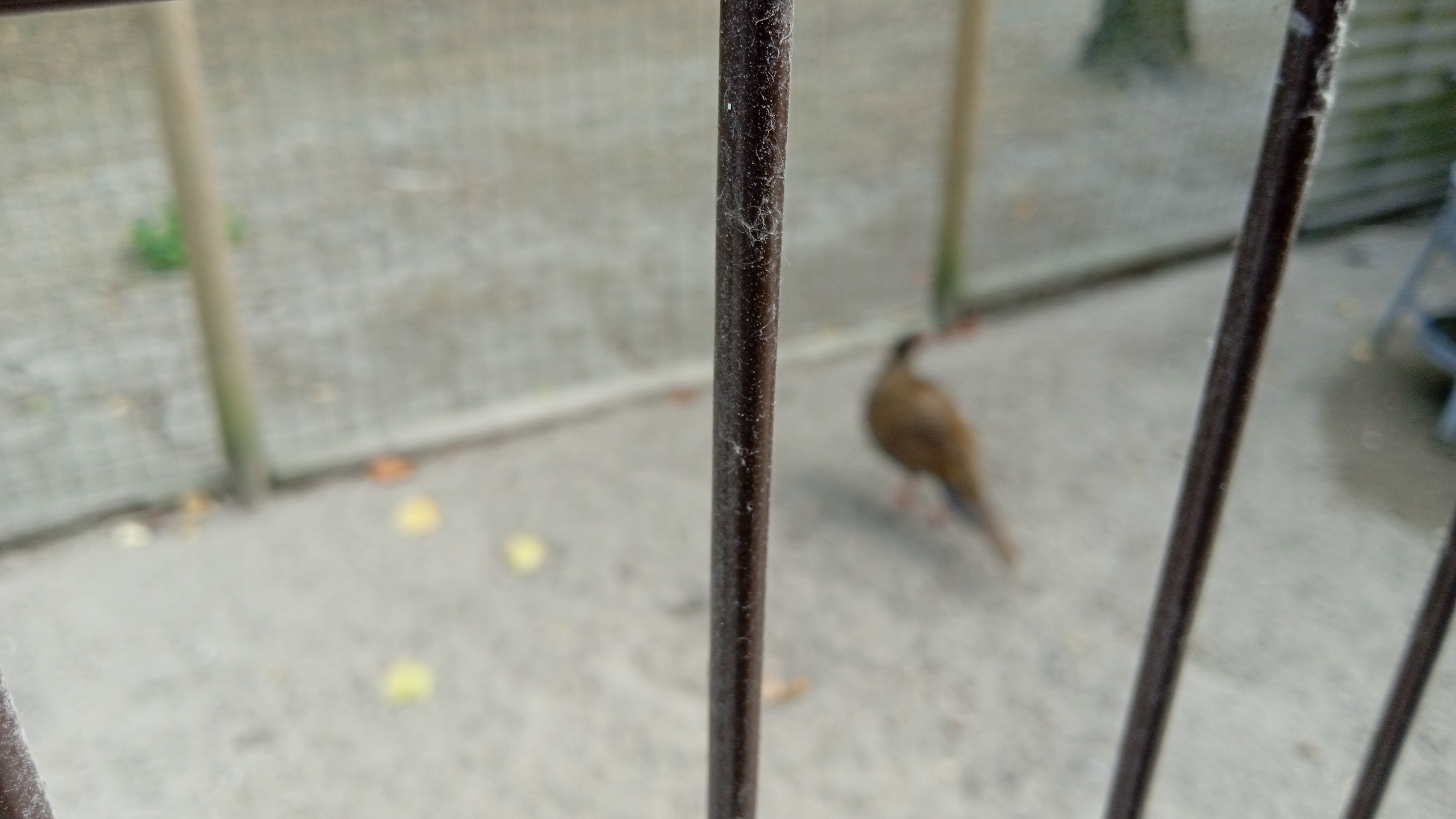 Photo n° 8 de l'avis de Phillipe.a fait le 15/08/2022 à 15:48