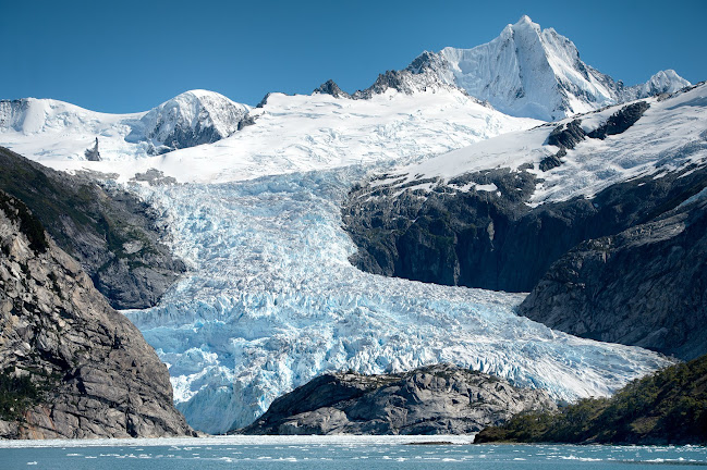 Opiniones de Patagonia Photosafaris en Punta Arenas - Agencia de viajes
