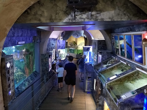 attractions Aquarium de Limoges Limoges