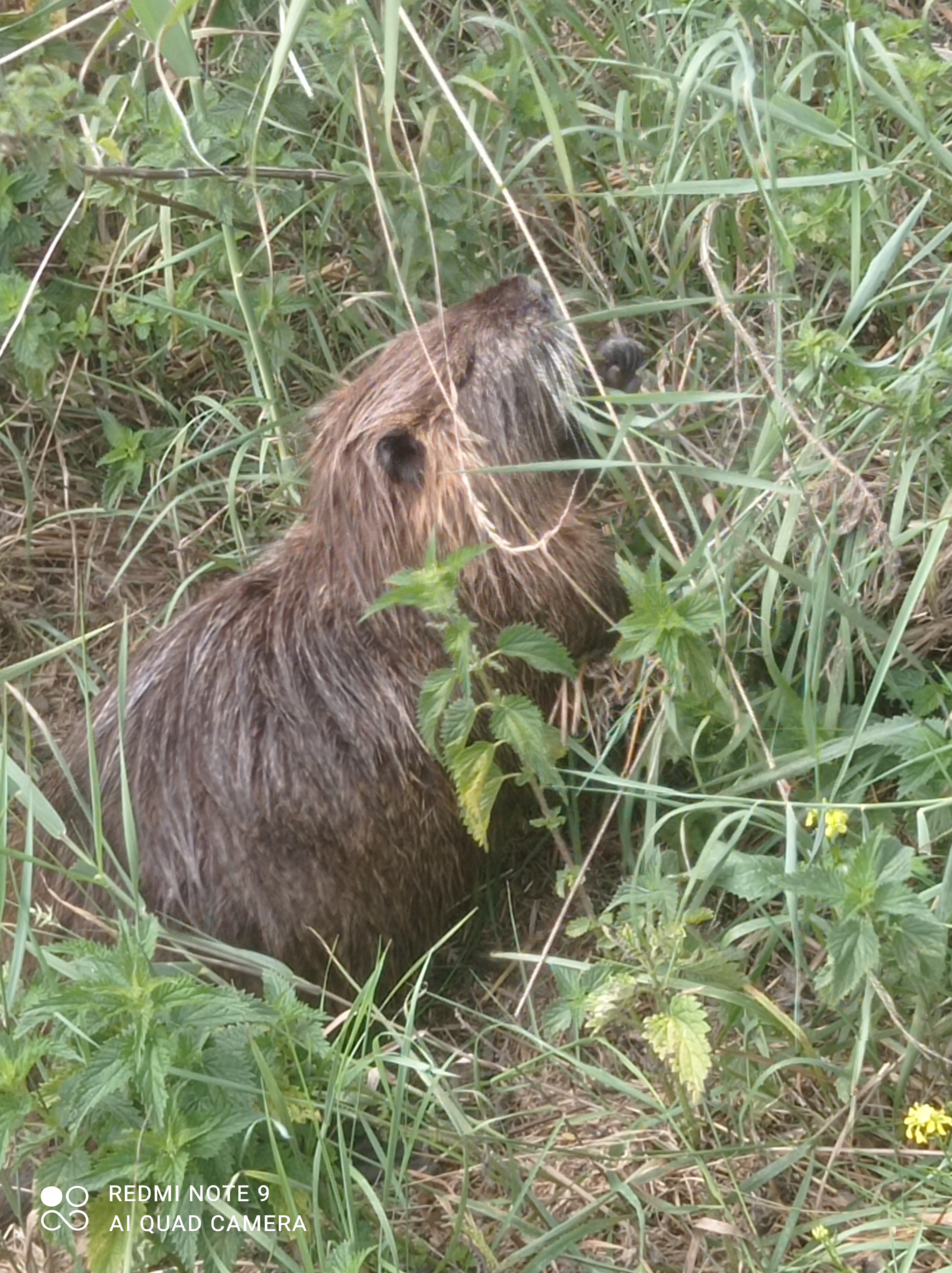 Photo n° 1 de l'avis de caty.a fait le 21/08/2022 à 06:16