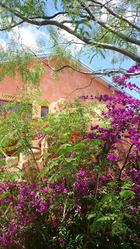 Golf Course «Max A. Mandel Municipal Golf Course», reviews and photos, 27700 FM 1472, Laredo, TX 78045, USA