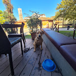 Photo n°1 de l'avis de Claudia.� fait le 23/09/2022 à 09:37 sur le  Ristorante cocktail bar San Colombano à Lucca