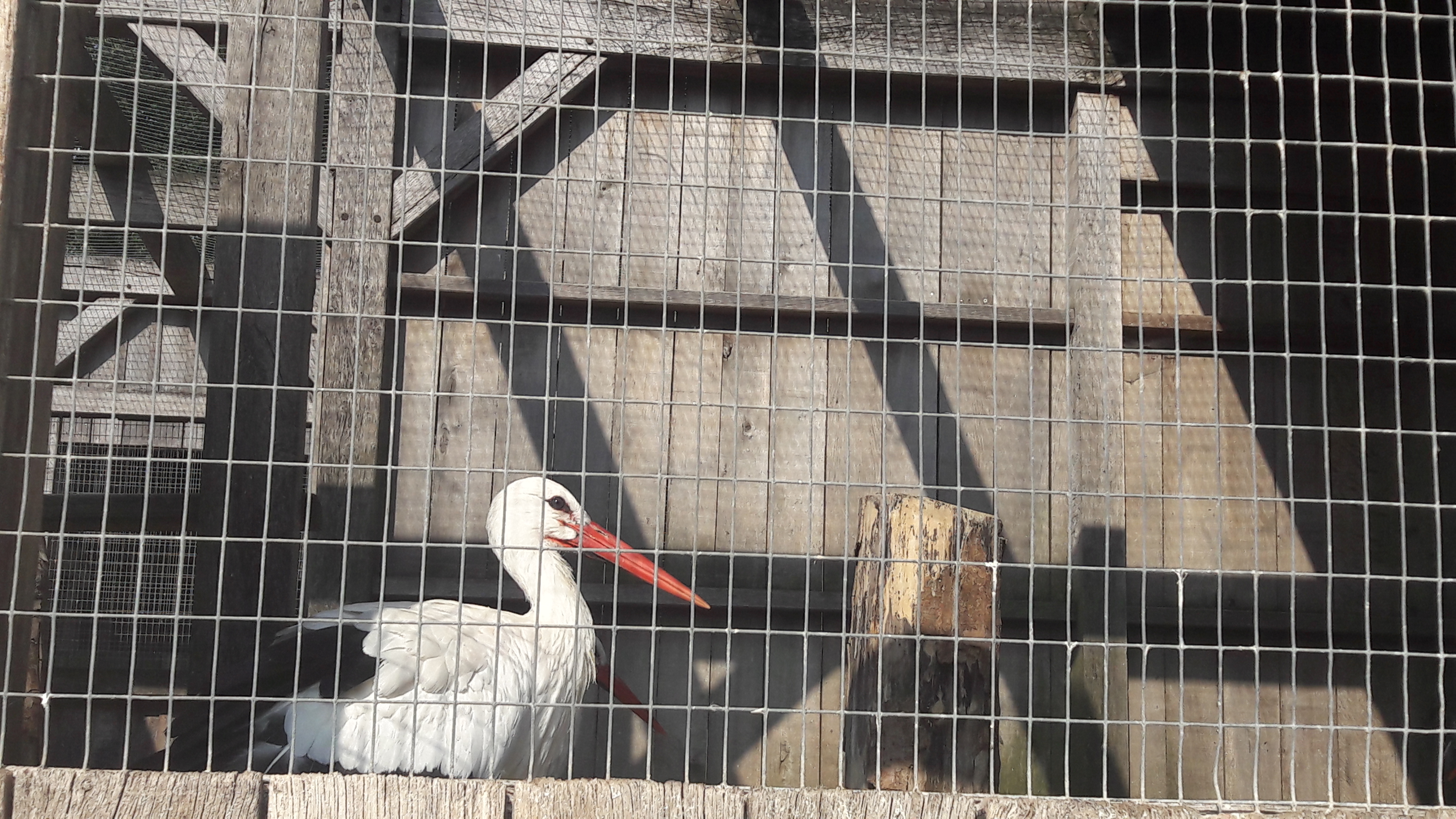 Photo n° 2 de l'avis de Lise.e fait le 14/07/2018 à 16:26