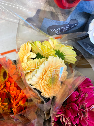 Grocery Store «Giant Food Stores», reviews and photos, 500 Progress Ave, Pottsville, PA 17901, USA