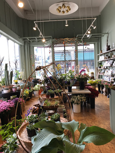 Florist «Seattle Flowers», reviews and photos, 600 2nd Ave, Seattle, WA 98104, USA