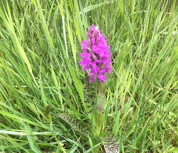 Biolandhof Blumenthal photo