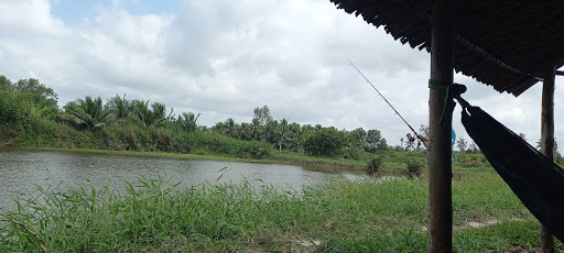Hồ câu Bằng Hoa
