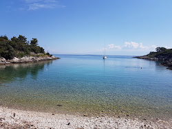 Plaza Jamna'in fotoğrafı vahşi alan