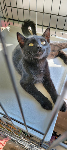 Pet Supply Store «Pet Supplies Plus», reviews and photos, 1377 N 21st St, Newark, OH 43055, USA