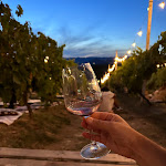 Photo n°6 de l'avis de Mirko.a fait le 12/08/2023 à 21:46 sur le  Tenute Poggio di Bobi à Lamporecchio