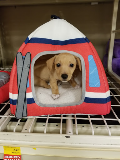 Pet Supply Store «PetSmart», reviews and photos, 32962 FM 2978 Rd, Magnolia, TX 77354, USA