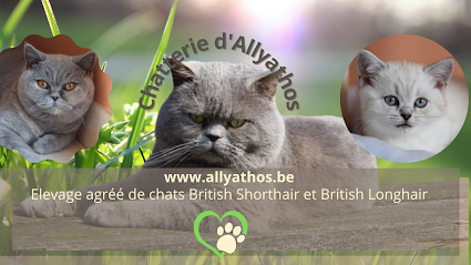 Chatterie d'Allyathos