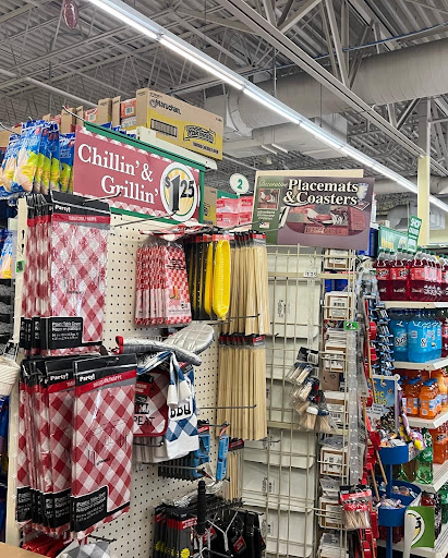 Dollar Store «Dollar Tree», reviews and photos, 1243 E Higgins Rd, Schaumburg, IL 60173, USA