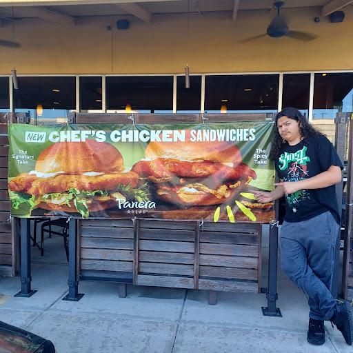 Sandwich Shop «Panera Bread», reviews and photos, 8531 TX-151, San Antonio, TX 78245, USA