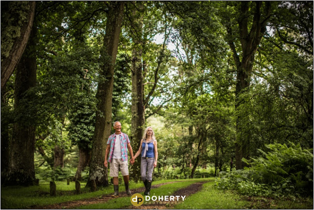 Comments and reviews of Doherty Photography
