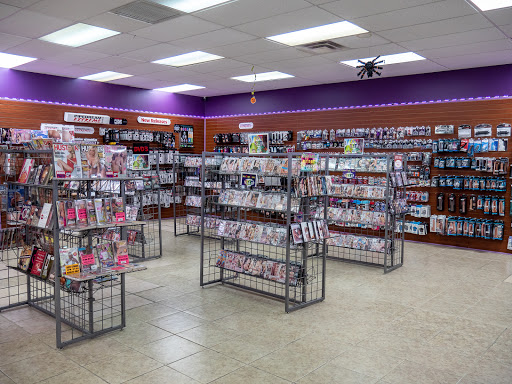 Adult DVD store Irving