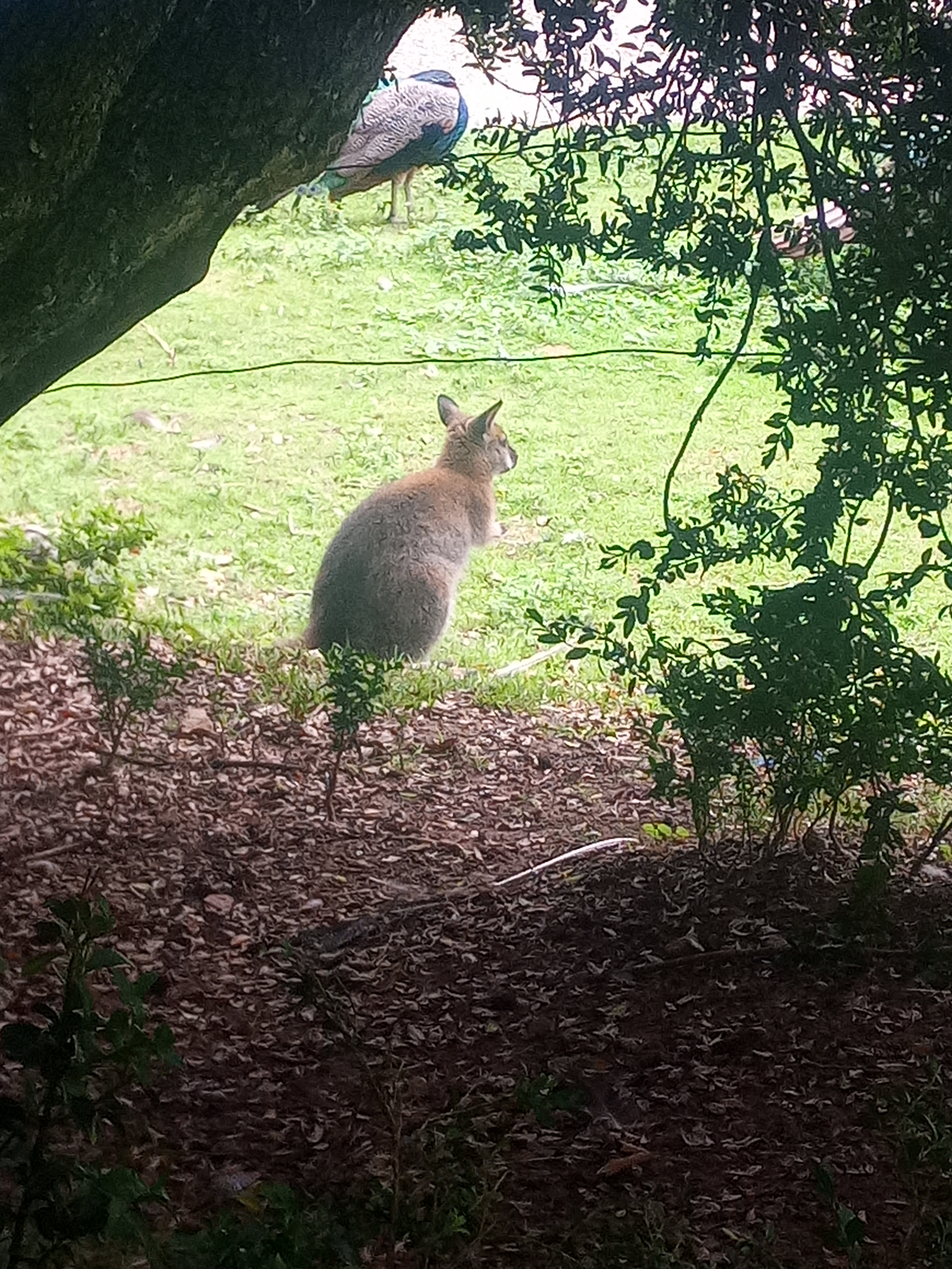 Photo n° 8 de l'avis de guillaume.e fait le 20/08/2020 à 14:57