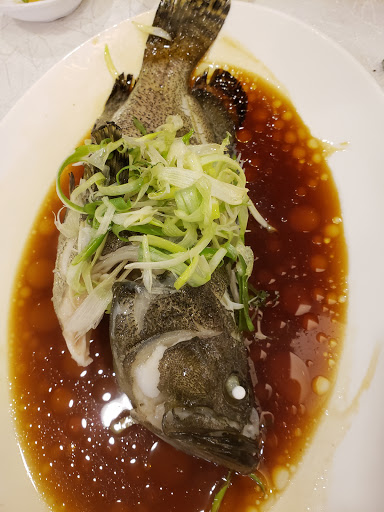 Hon Po Seafood Restaurant
