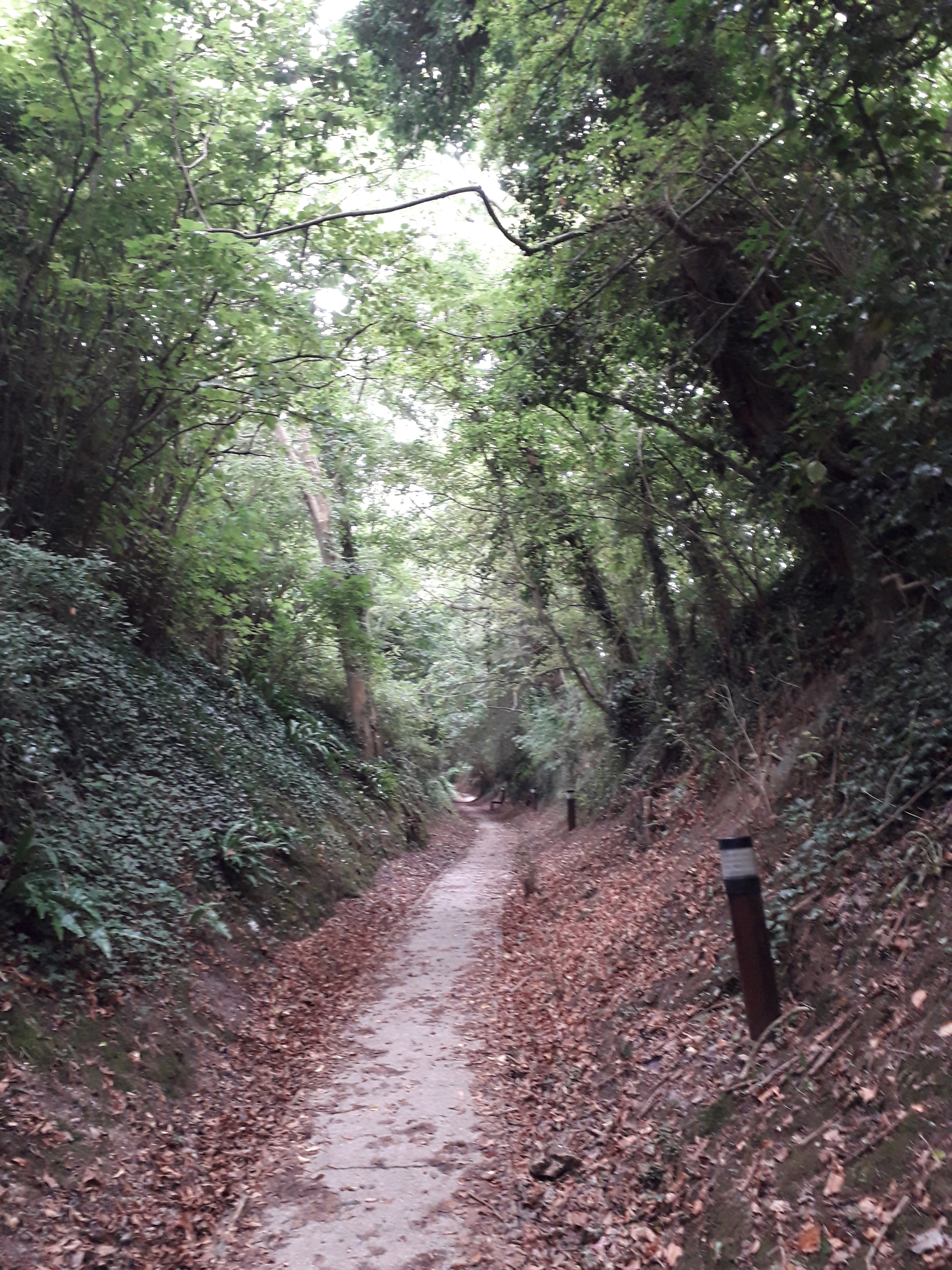 Photo n° 3 de l'avis de Patricia.a fait le 18/08/2018 à 12:38