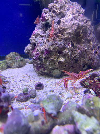 Pet Store «Oak Park Natural Pet & Fish», reviews and photos, 23 N Harlem Ave, Oak Park, IL 60302, USA