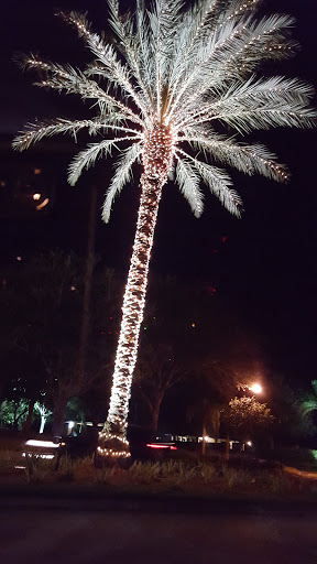 Golf Club «Stoneybrook Golf Club», reviews and photos, 21251 Stoneybrook Golf Blvd, Estero, FL 33928, USA