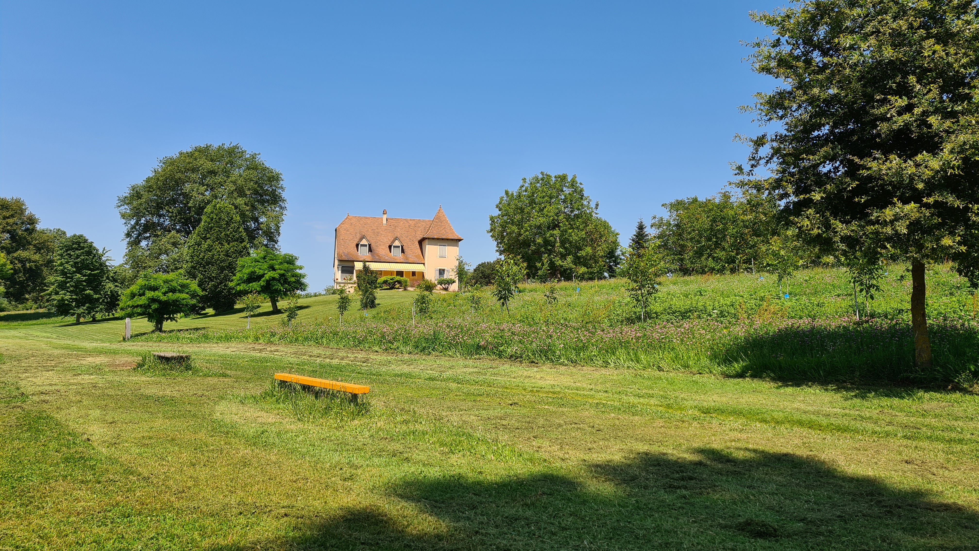 Photo n° 2 de l'avis de Sylvain.A fait le 30/07/2021 à 17:45