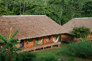 Collpas Tambopata Inn image