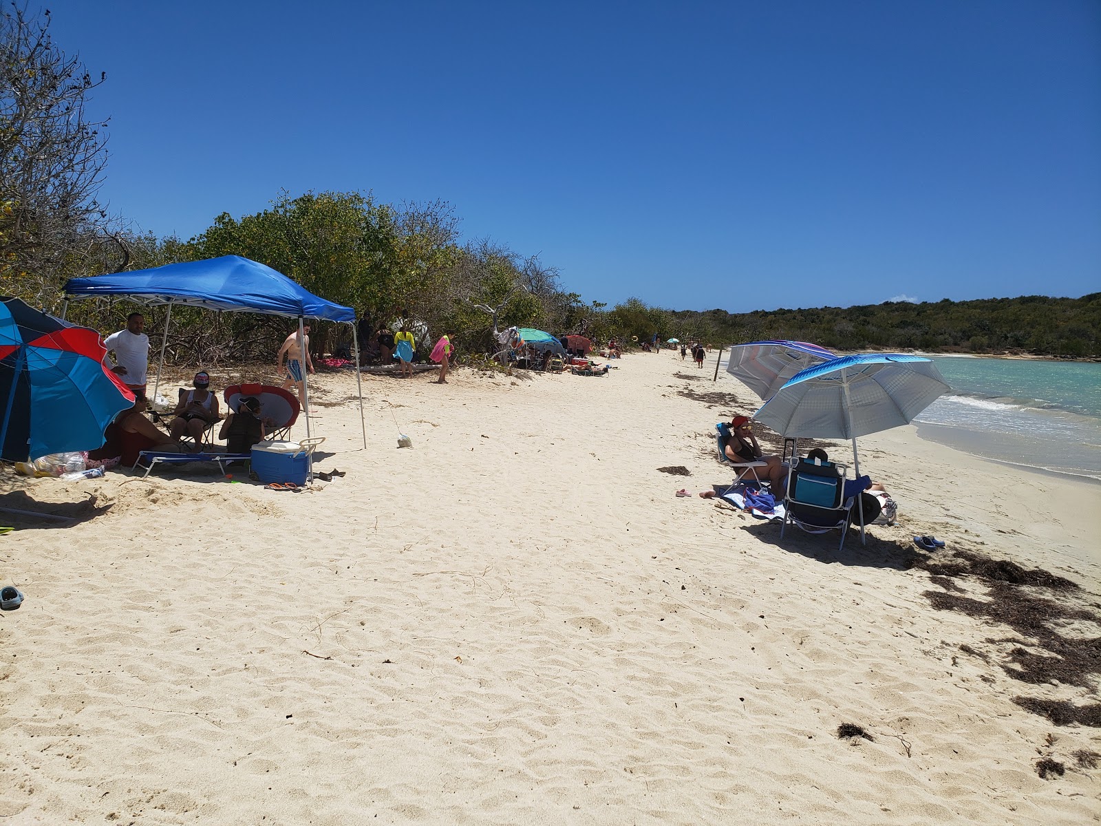 Foto di Spiaggia Sucia - luogo popolare tra gli intenditori del relax