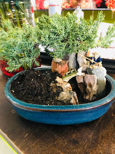 Florist «Floreria Alcatraz», reviews and photos, 159 Aldine Bender Rd #174, Houston, TX 77060, USA