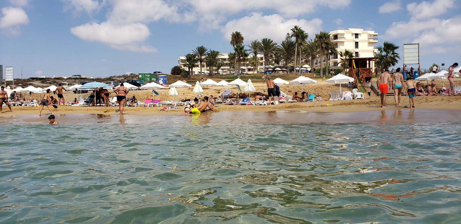 Venus beach photo #8