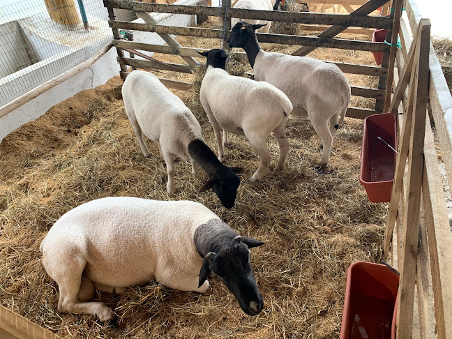 Asociación Holstein Friesian del Ecuador - Asociación