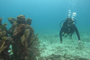 Plongée à Cancun image